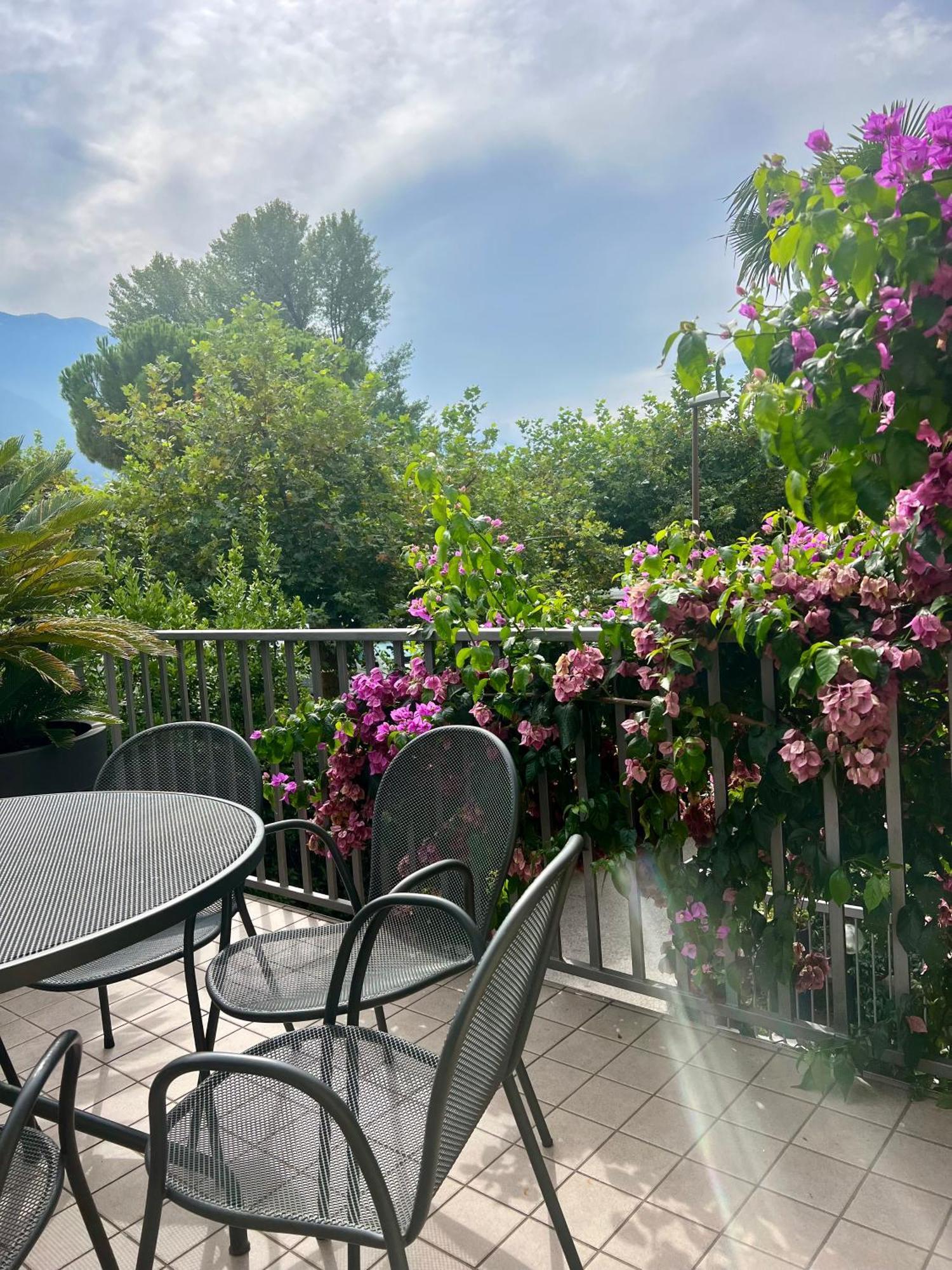 Villa Phoenix - Lake Apartments Ρίβα ντελ Γκάρντα Εξωτερικό φωτογραφία
